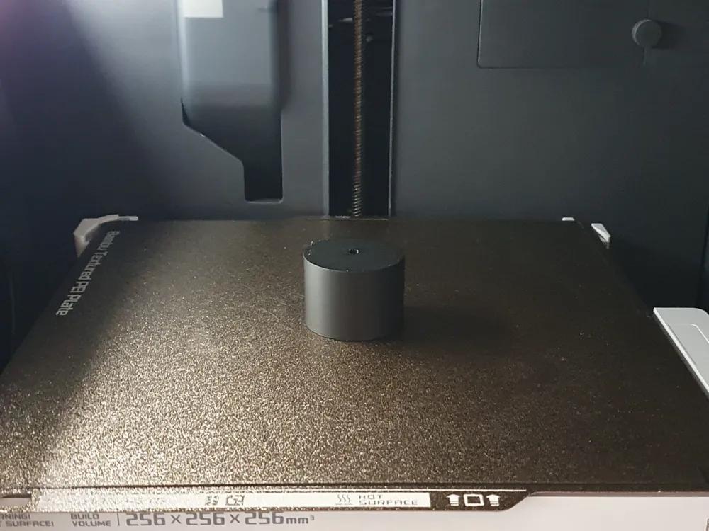 Moderne Feder-Dekoration | 3D Druck
