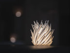 Spirit Lamp LED-Teelichthalter 3D-Druck | Stilvolle Deko-Kerze | PLA in über 30 Farben | Geschenkidee & Wohnaccessoire